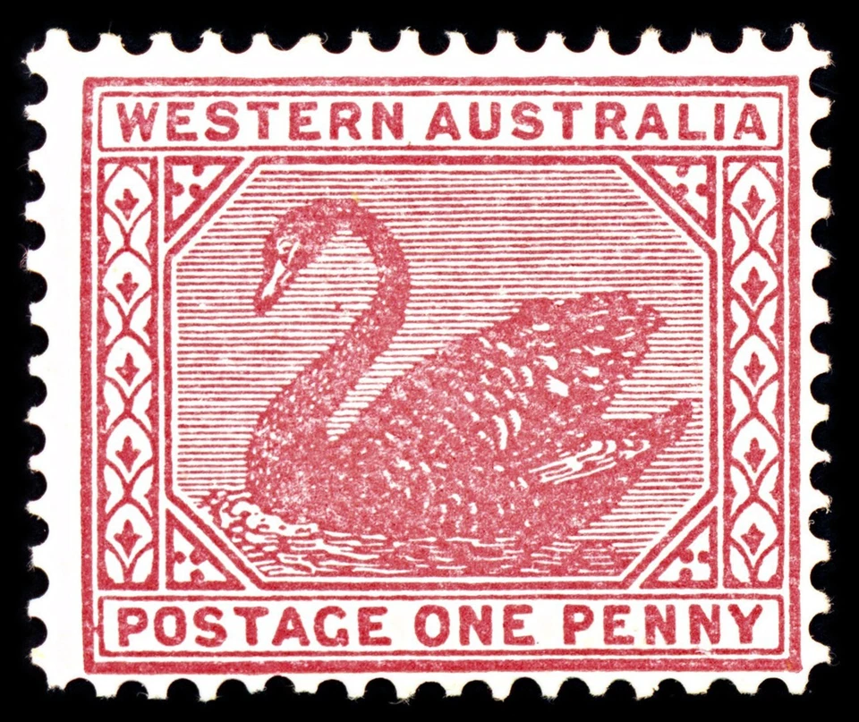6950 Western Australia SG117 1D Carmine Rose 1902. Sc#76 Mi 49A como nuevo MH. C£29 Foto 3 de 4