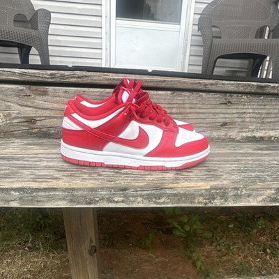 Nike Dunk Low Red White Low Top Athletic Sneaker Teens Basketball