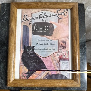 Vintage Book Photo Wood Glass Framed Olive Eye’Lo  From The Cat Made Me Buy It