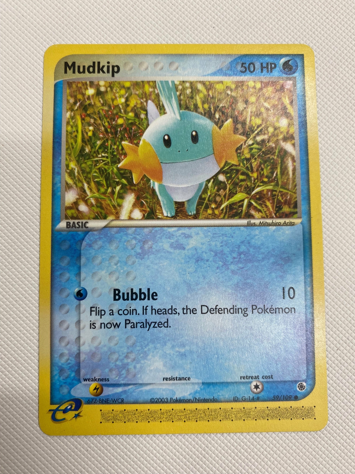 Mudkip 59/109 Common Pokemon Card Near Mint | eBay