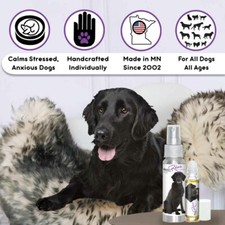 Flat-Coated Retriever Relax Dog Aromatherapy  Calms Anxious Dogs Naturally