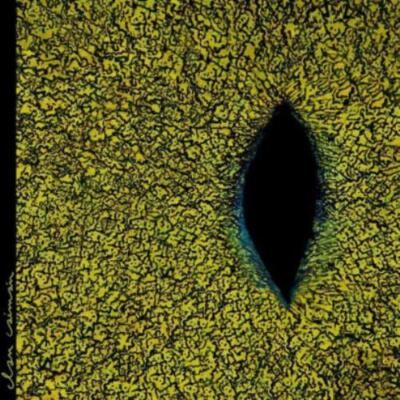 CLAN CAIMAN: CLAN CAIMAN - LP Vinyl *NEU*