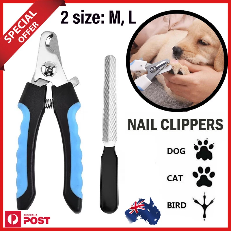 Nail cutter 2025 for rabbit