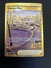 Gapejaw Bog Holo Secret Rare SWSH12: Silver Tempest 213/195 NM