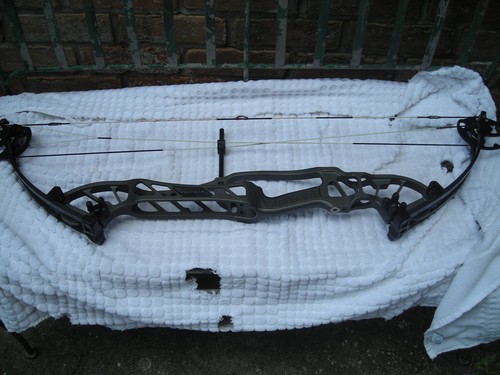 NICE Hoyt Stratos 36 Right Hand SVX #4B 29.5 Inch Draw 60 Lbs