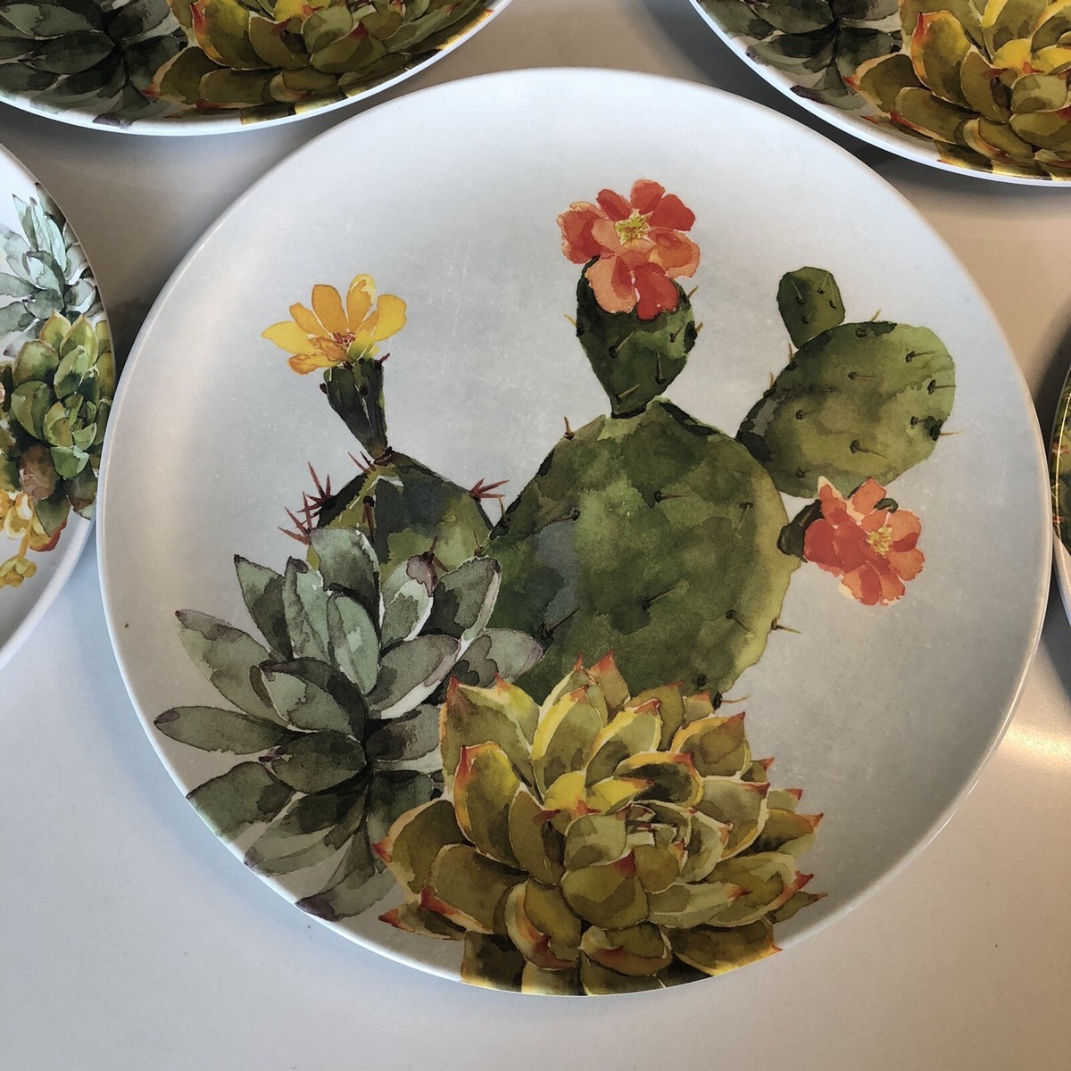 Cactus World Market Melamine Plates Cactus Dinnerware, Government