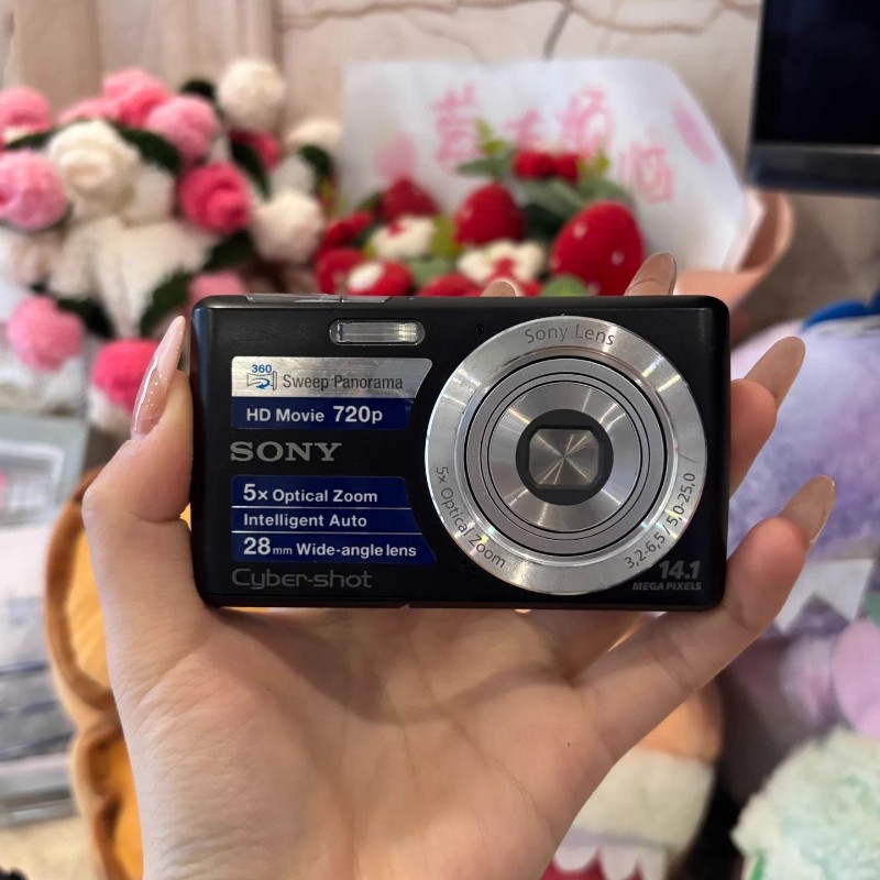 Sony Cyber-shot DSC-W620 14.1MP 5x Optical CCD Digital Camera