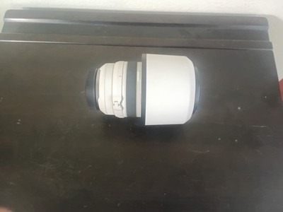 Canon RF 70-200mm f/2.8 L IS USM Telephoto Lens