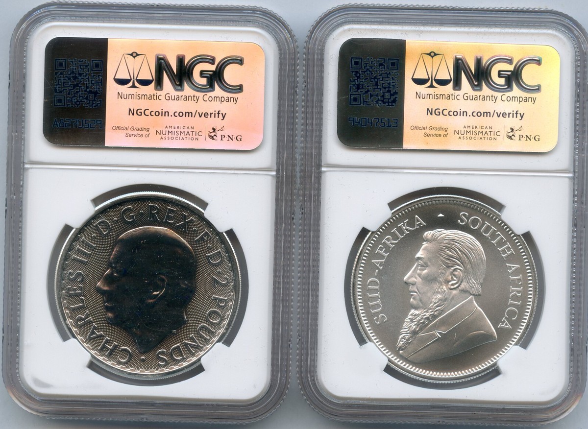 篇額、 2025 China 30-gm Silver Panda NGC MS70 FR Struck at Shenyang
