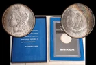 1884-CC Morgan Dollar GSA BU Rainbow Crescent Toned VAM 2