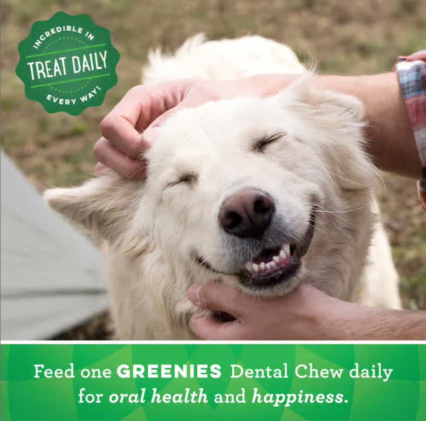 Greenies Original Petite Natural Dental Dog Treats 27 oz. Pack (45 Treats)