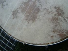 Picture 13 of 24