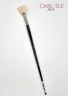 Winsor & Newton Winton Fan Brush Size 5