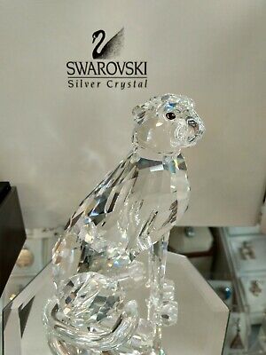 Cheetah Swarovski Crystal, Collection Animal Wildlife Figurine w/ Box  Discontinu | eBay