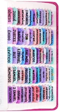 Spanish Bible Tabs for Women - Laminated Purple Catholic Spanish Bible Indexi...