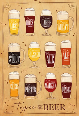 Blechschild 20x30  Types of Beer Bier Sorten  Wand Deko Bar Kneipe Cafe Sammler
