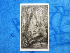 Gravure Année 1861 - Le croquis incommode - Il disegno scomodo