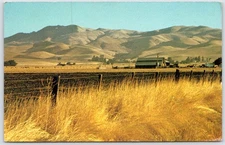Postcard CA California Livermore Valley Farm Ranch Scenic View CA29