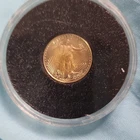 U.S. Mint 2009 American Gold Eagle $5 1/10 oz .9167 Fine Uncertified