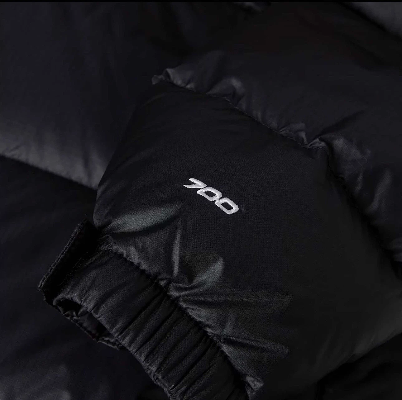 The North Face Neptuse 700 Men's Retro Jacket Size Large - product detail image 4