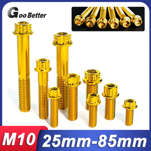 M10 Titan Flanschkopf T50 Torx Schraube Doppelantrieb Gold 1,25/1,5 mm Gewinde