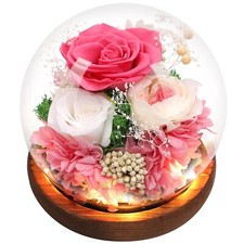 Preserved Rose Flowers, Unique Floral Gifts for Women, Long-Lasting Real Flow...