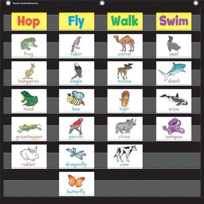Teacher Created Resources Educational Pocket Chart (tcr-20740) (tcr20740)