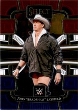 2024 Panini Select WWE #3 John 