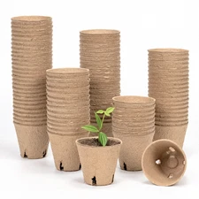 Bamworld Nursery Pots 3in 100 Pcs with Drainage Biodegradable Plant Pots