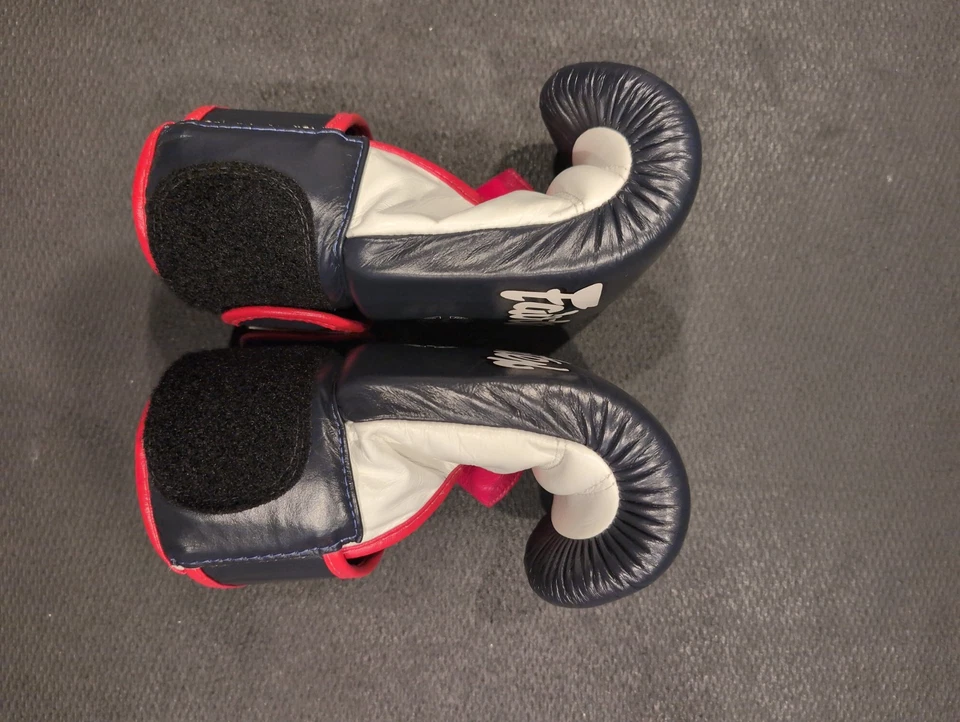 Fairtex BGV1 Muay Thai Boxing Gloves, Genuine Leather, 16oz - Image 4 of 4