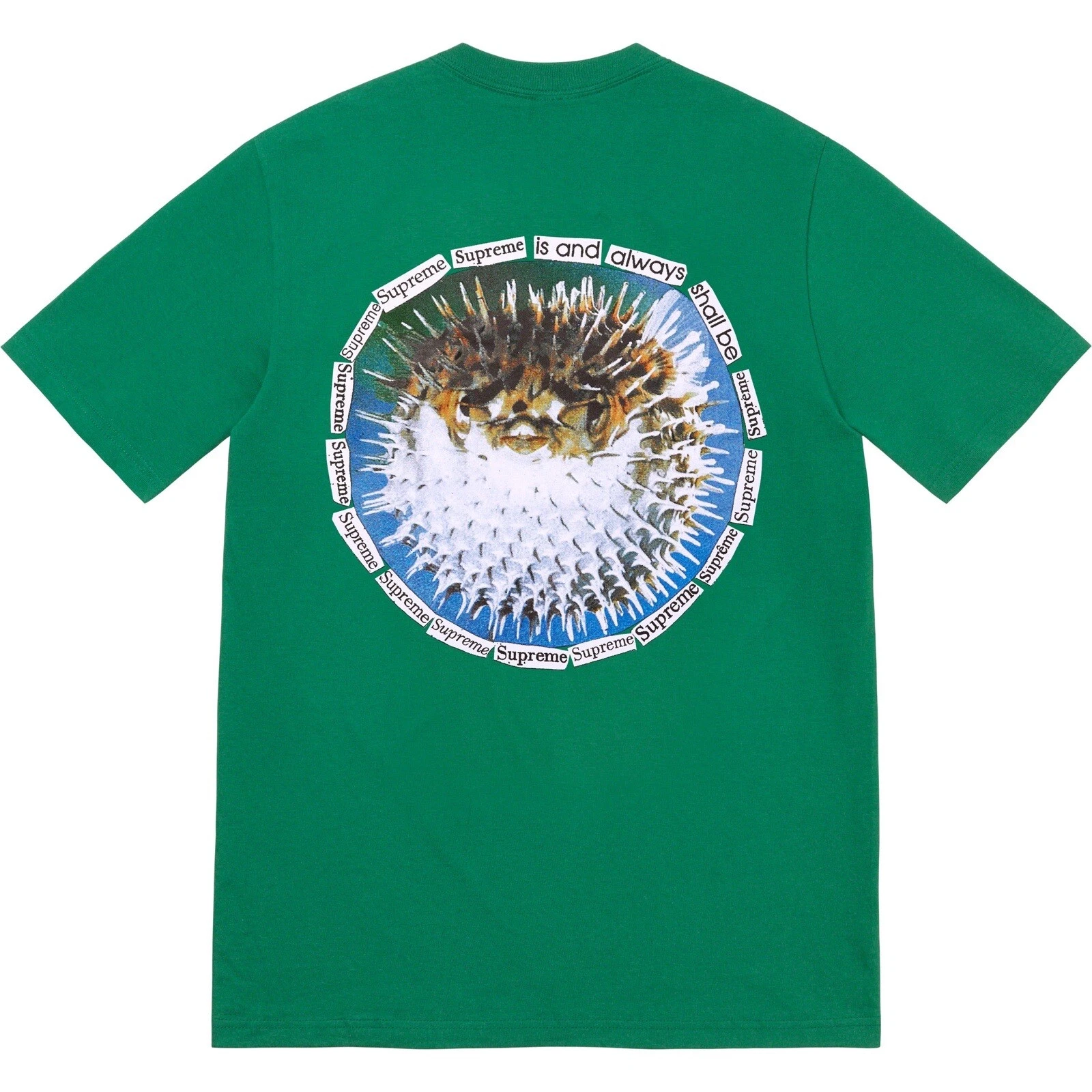 T shirt Supreme Blowfish taille grand pin clair, Weirdo Dave graphique Supreme