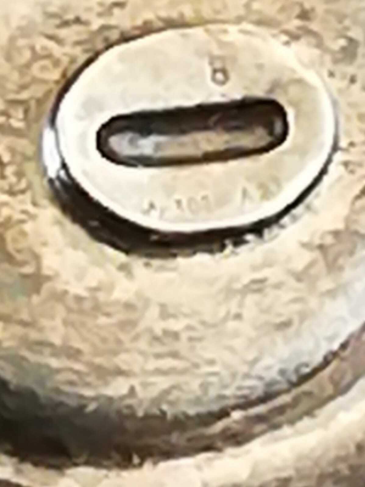 Foto 12 di 12