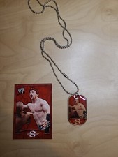 2011 Topps WWE Sheamus Celtic Dog Tag and Topps Collector Card Wwf Tcg Raw #9