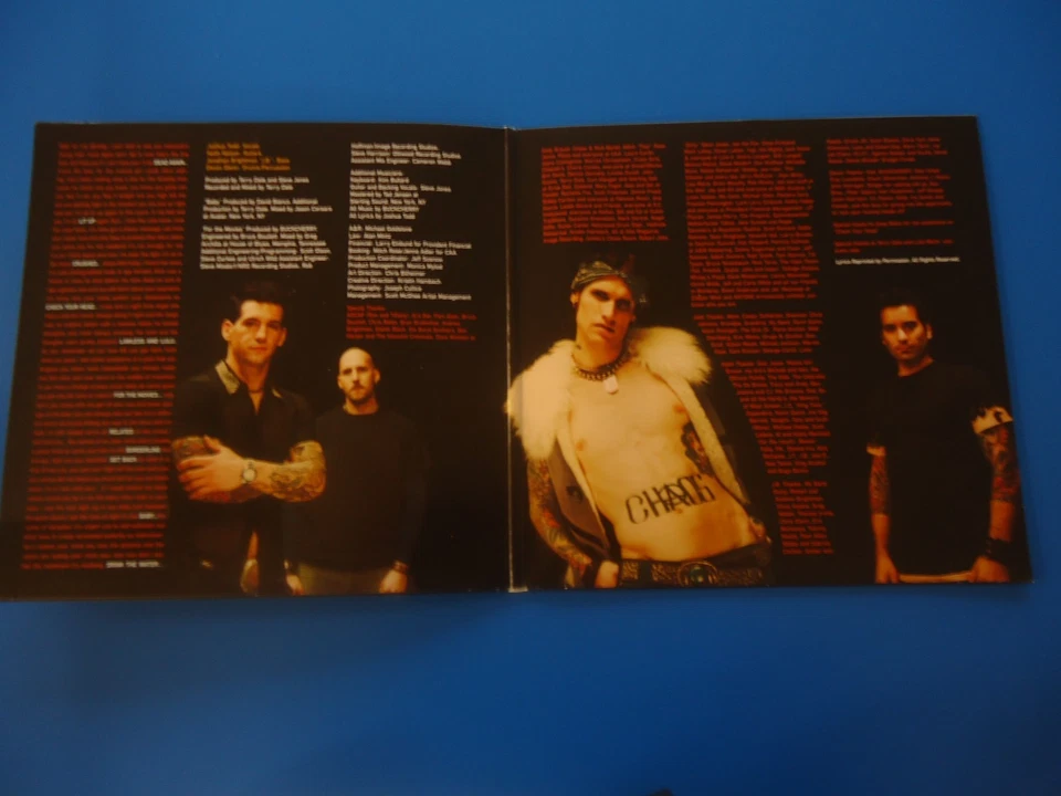 BUCKCHERRY  SELF TITLED RED TRANSPARENT COLORED VINYL LP (2021) - Image 2 of 4