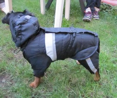 WAUWUF Hunde Schneeanzug Overall wattiert Schneeschutz Regenschutz Lagerverkauf!