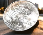 2010  SILVER EAGLE- Kinda Homely, Kinda Hot....You Decide If You'd Take Her Home