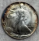 1987 American Silver Eagle 1oz .999 Silver Toned