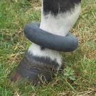 Horse Pony Rubber Sausage Boot or Fetlock Ring - One Size - Black FREE SHIPPING