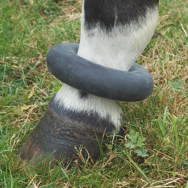 ELICO Botas de Goma Pony Caballo Bota o Anillo Fetlock - Talla Única - Negra ENVÍO GRATUITO