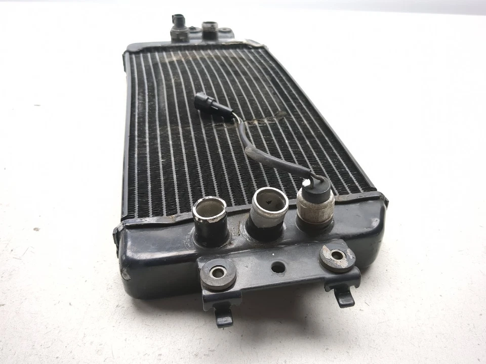 01-04 铃木 VL800 入侵者 Volusia 发动机电机散热器 — 第 3/4 张图片