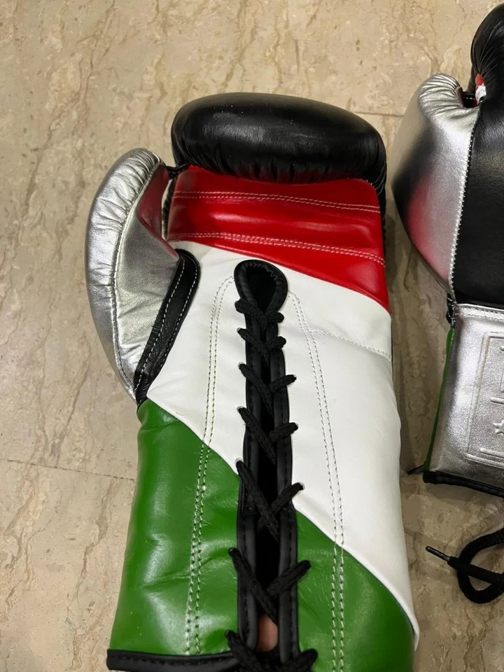 REAL COWHIDE LEATHER COSTOMMADE NO BOXING NO LIFE BOXING GLOVES ALL CLR AND SIZE - Image 2 of 4