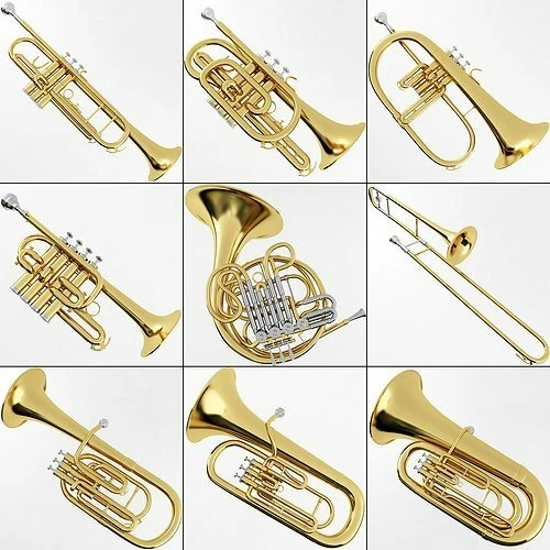CLEAN YOUR TUBA OR BARITONE QUICKLY AND SAFELY - Image 3 of 4