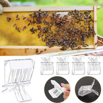 5PCS/Set Clear Queen Bee Catcher Clip Cage Catching Beekeeping Equipment Plastic