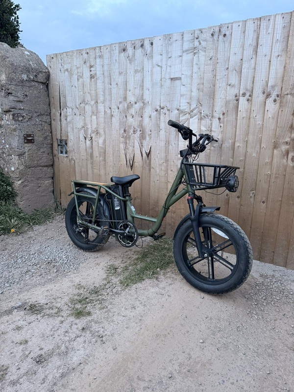 Fiido T1 Pro, Cargo Bike 750w 30mph