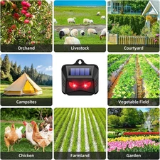 4 Solar Animal Repellents: Predator Eye Lights for Farms & Chicken Coops