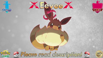  Non-shiny Eevee Gigantamax 6IV Wild Area Station ️Sword Shield HOME ( Legal)