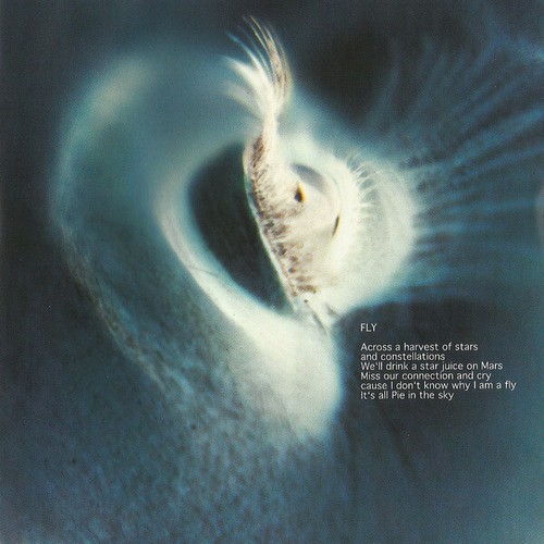 Sarah Brightman Fly CD Album RE 9913 - Picture 4 of 4