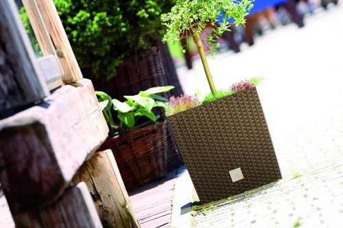 Square Plant Pot Rattan Low Elegant Garden Planters Indoor Outdoor Umbra - Picture 5 of 21