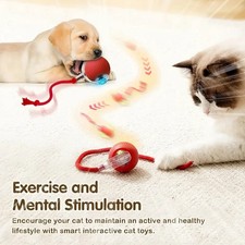 Smart Cat Toy Ball   Auto Rolling with Tail, Rechargeable Interactive Pet