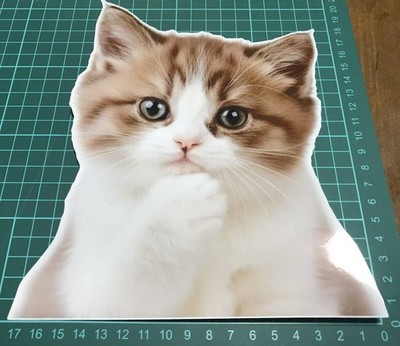 Including Shipping Sticker Munchkin Laptop Seal Cat Waterproof Vinyl Animal Car